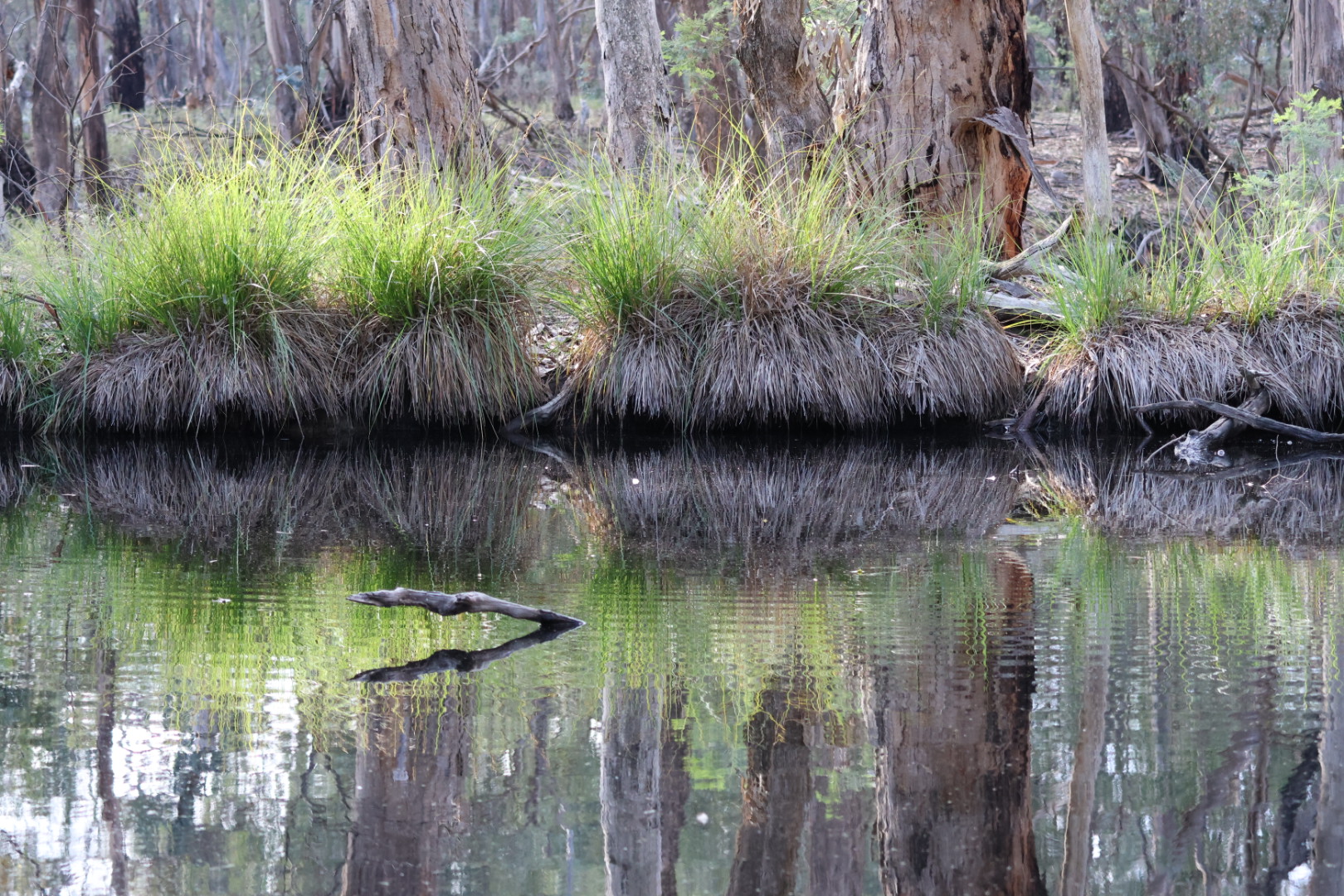 Discovering the Serenity of Kara Kara National Park