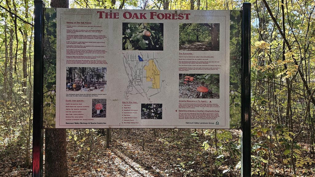 oak forest
